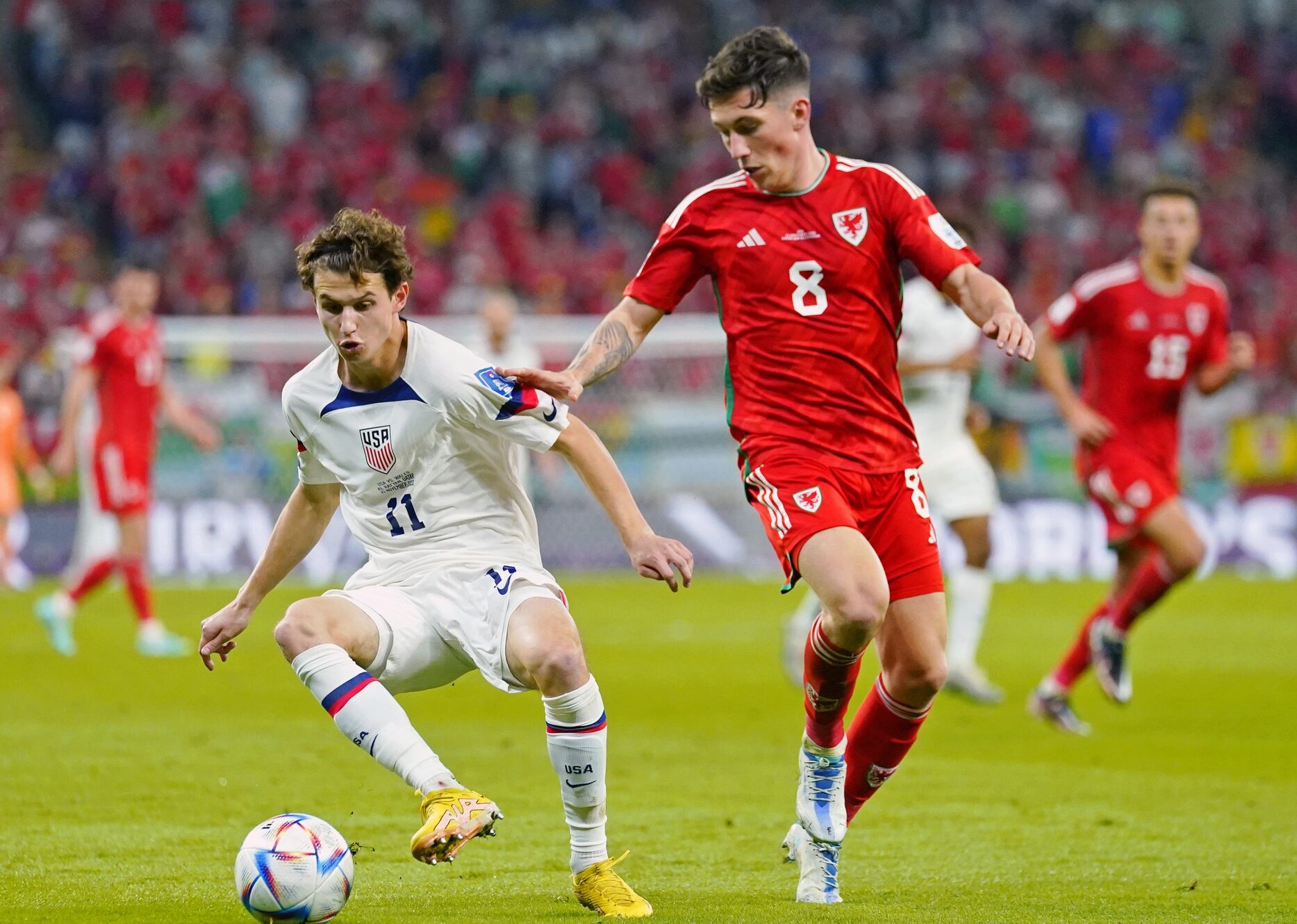 Harry Wilson