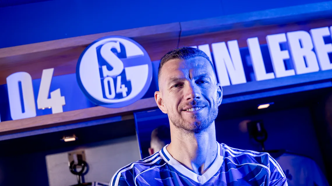 Edin Dzeko Fiorentina Schalke