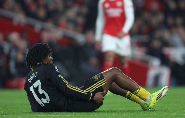dorgu injury